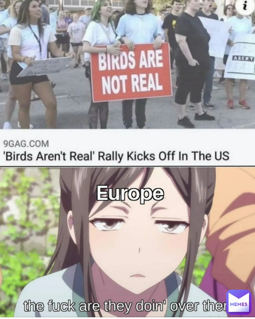 Meme by _________HI___________