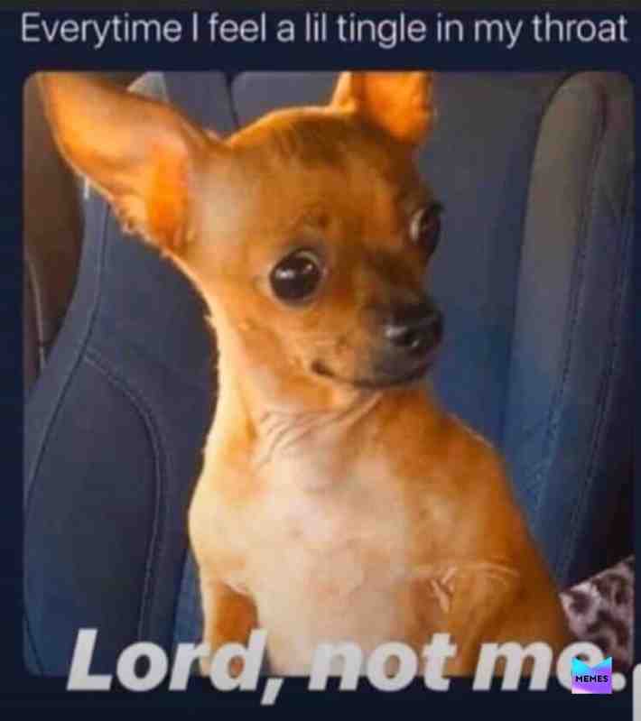 #hihi  #hahahahahhahahahaha  #goodmemes