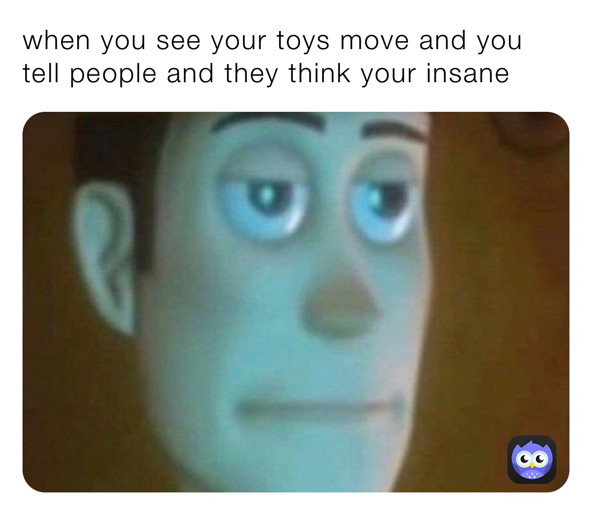 when you see your toys move and you tell people and they think your insane 