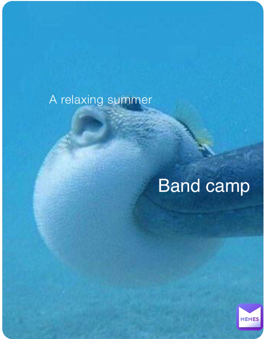 A relaxing summer Band camp