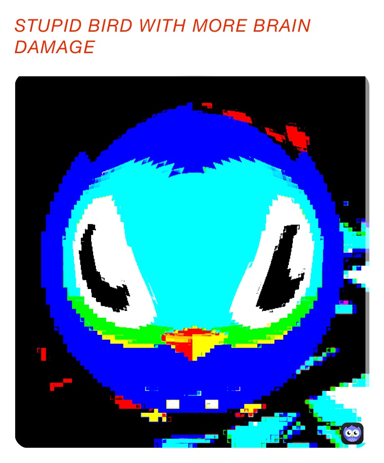 STUPID BIRD WITH MORE BRAIN DAMAGE 