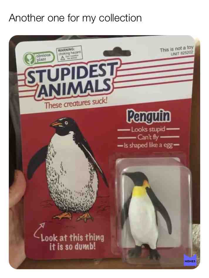 #animals