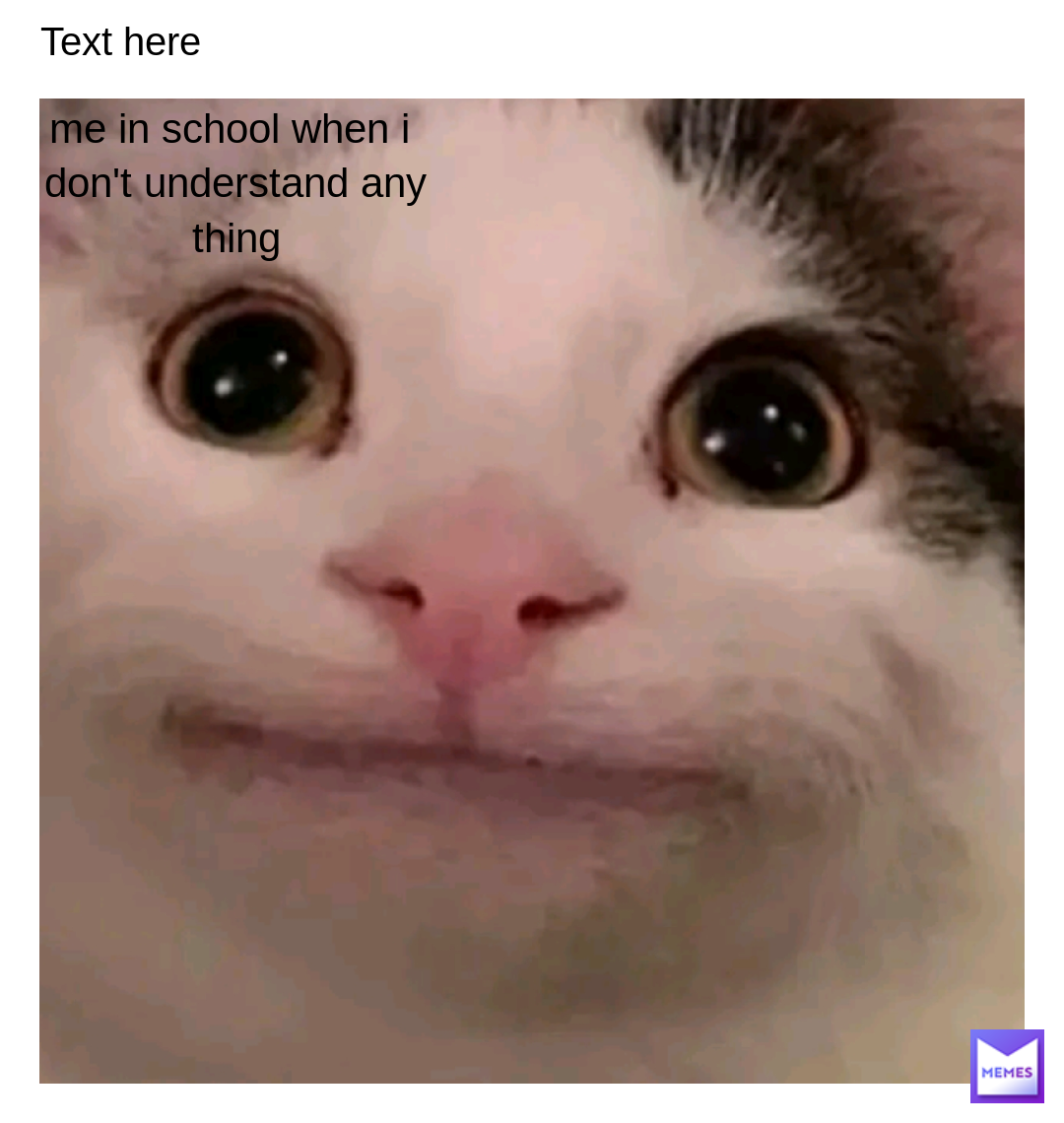 Meme by that_anime_kid___