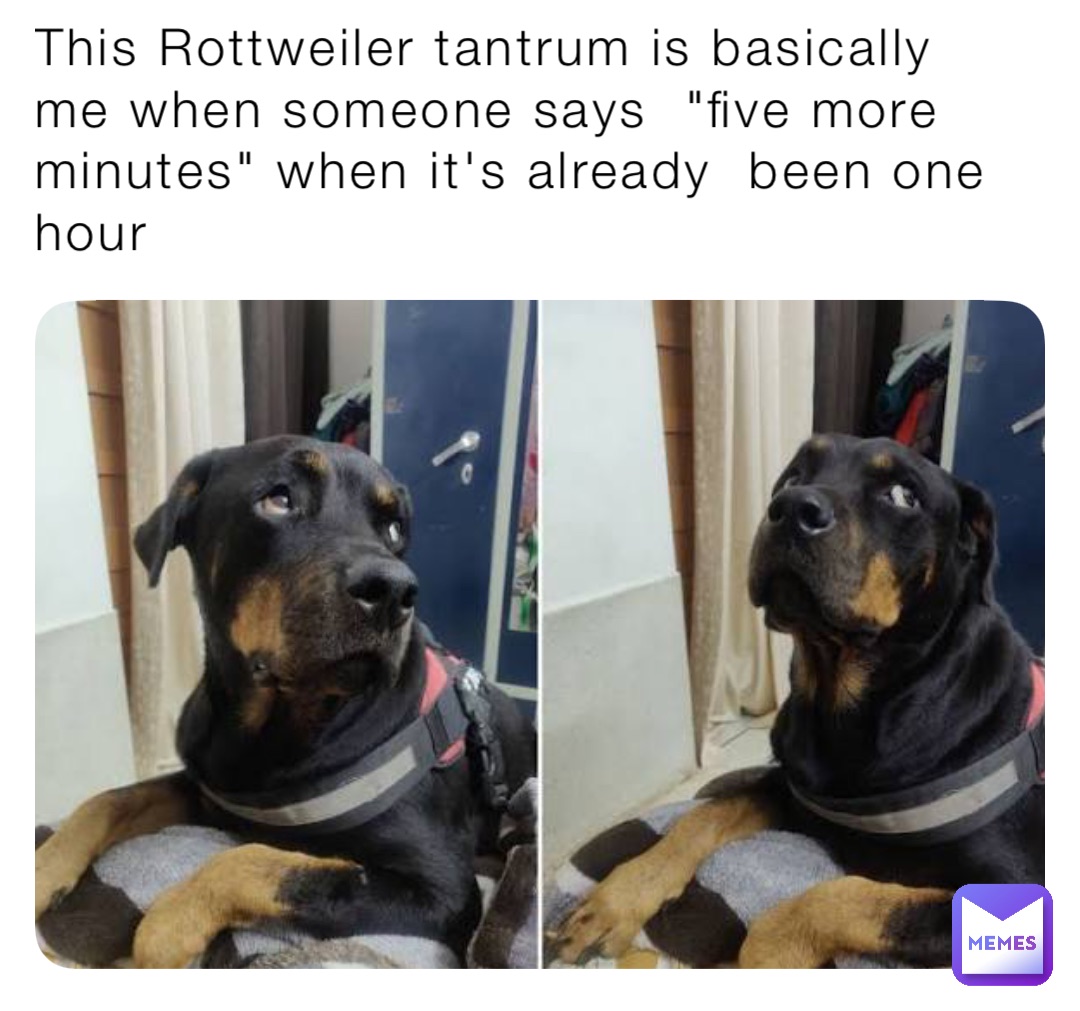 Meme by Elliott_greco