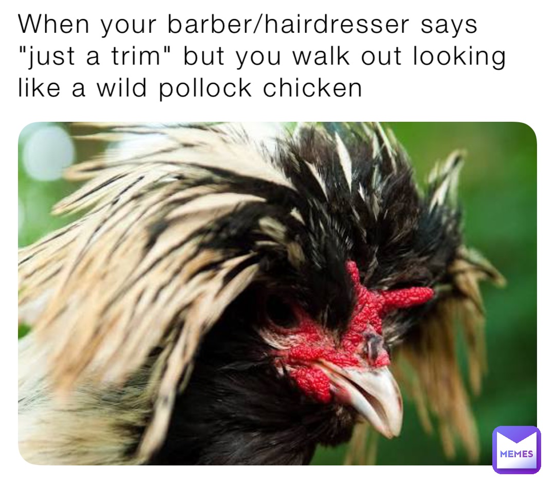 Meme by Elliott_greco