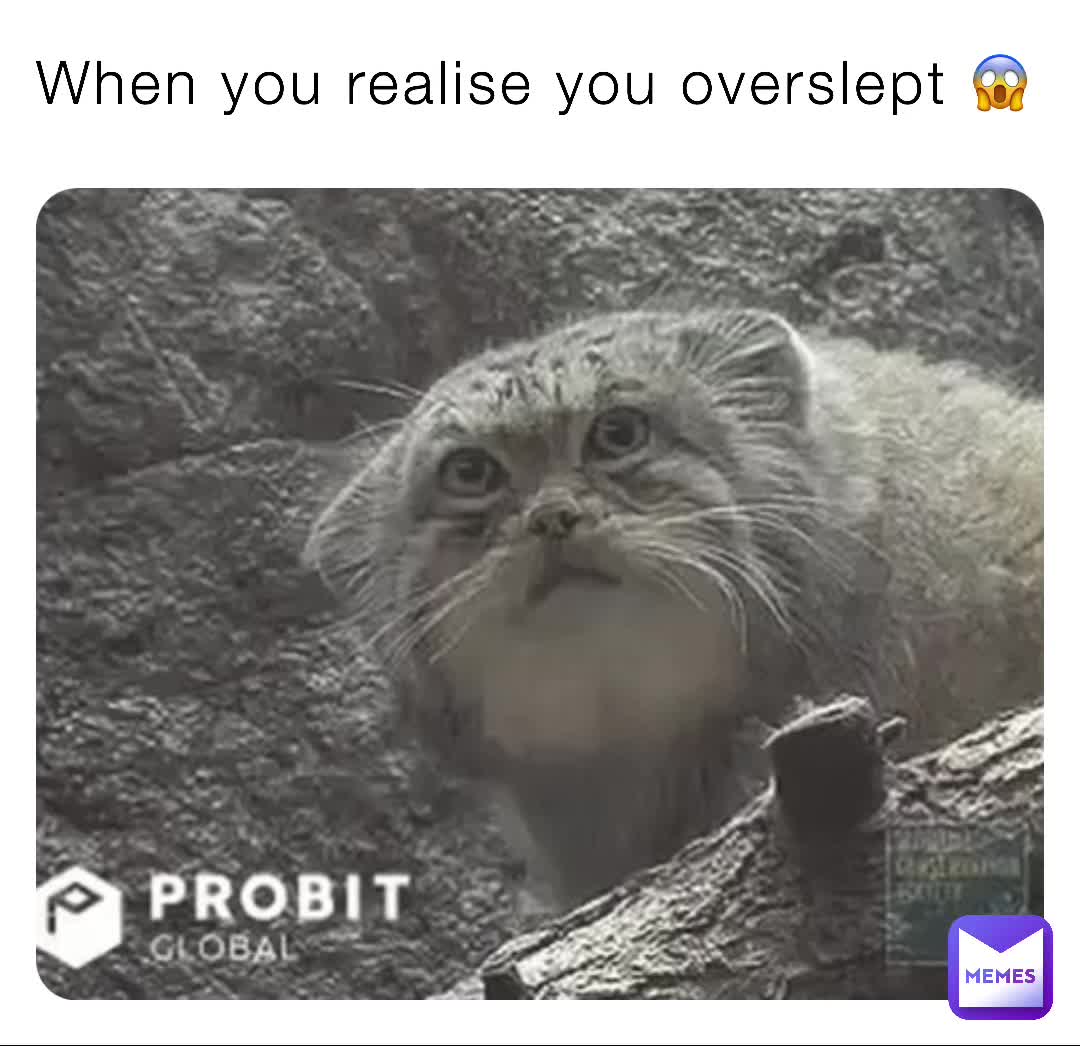 When you realise you overslept 😱 | @Elliott_greco | Memes