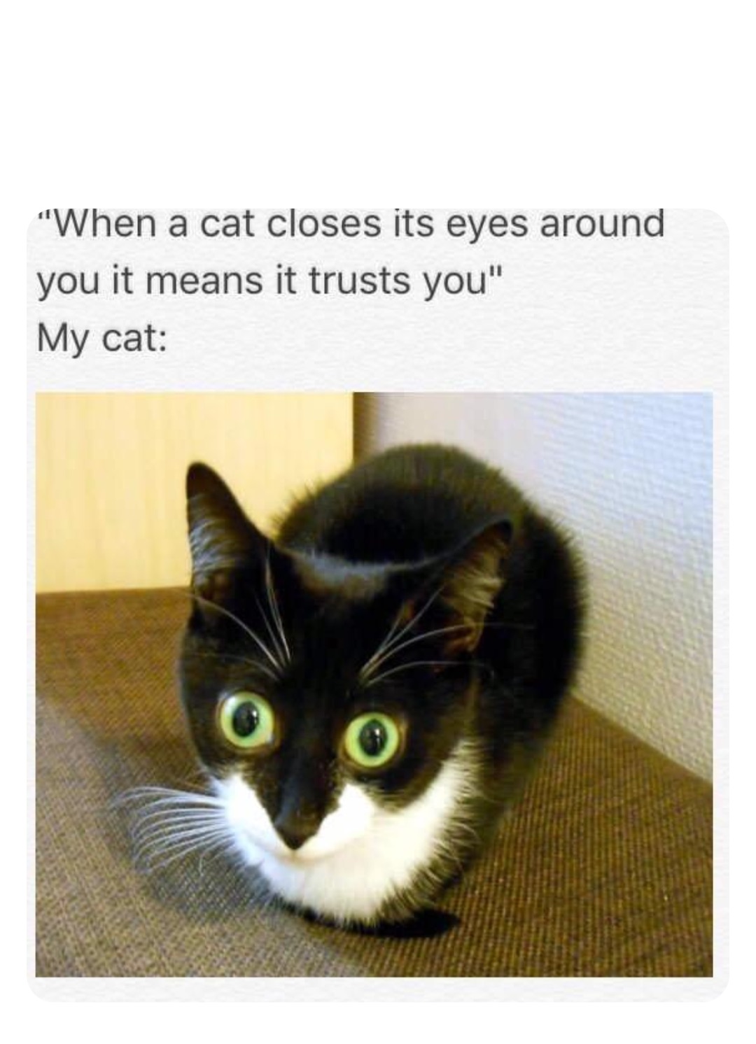 Meme by eagles_memes