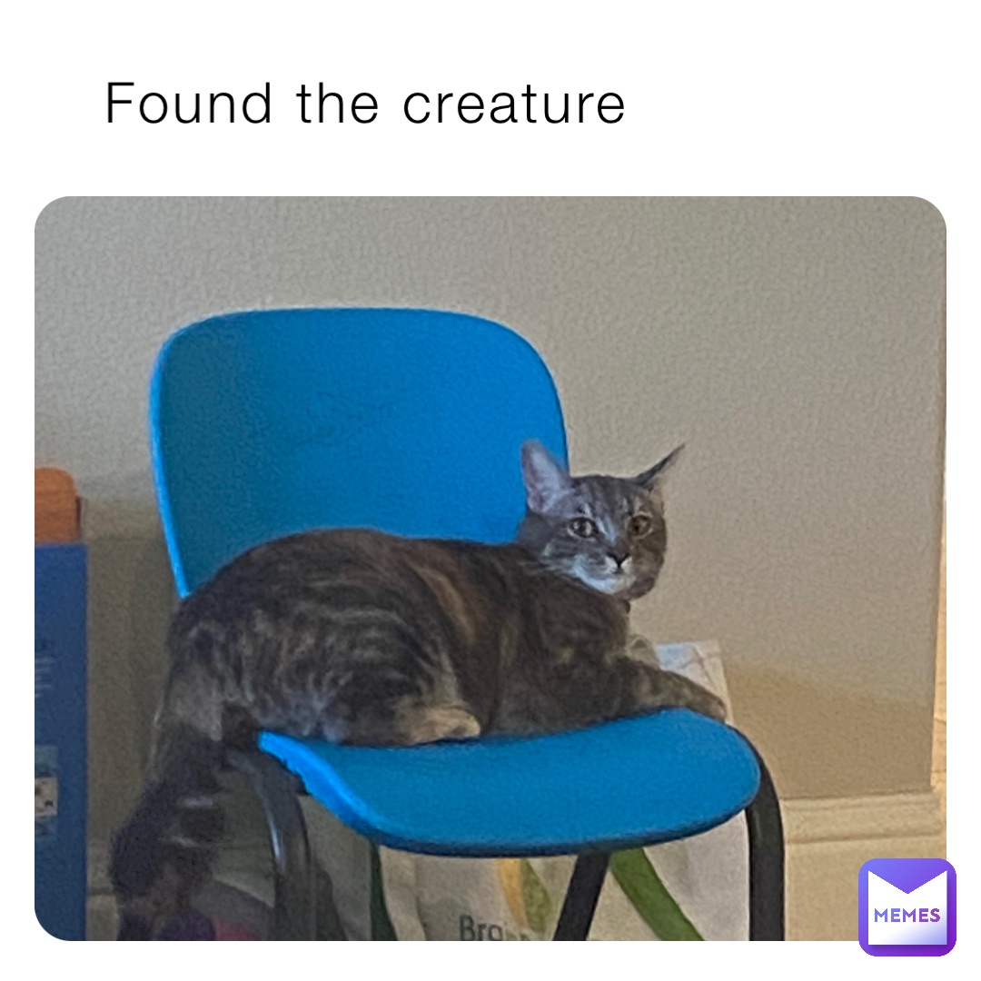 Found the creature