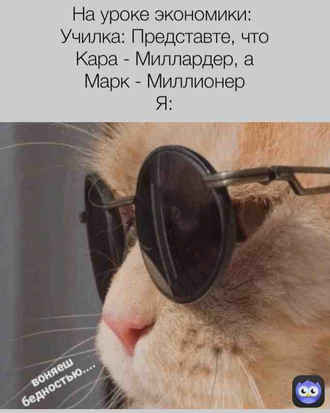 Meme preview