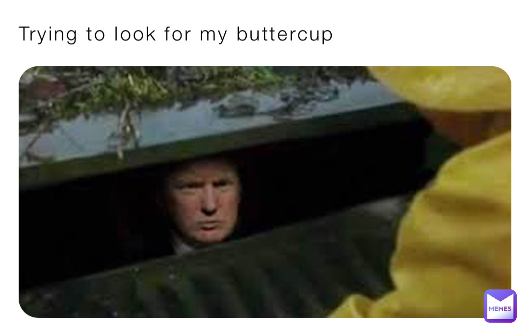 Trying to look for my buttercup