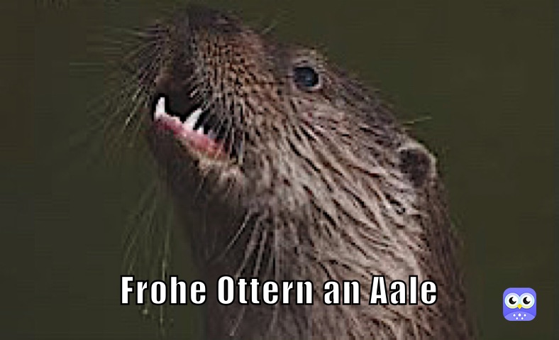 Frohe Ottern an Aale 