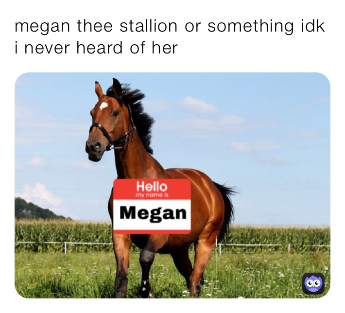 megan thee stallion or something idk i never heard of her