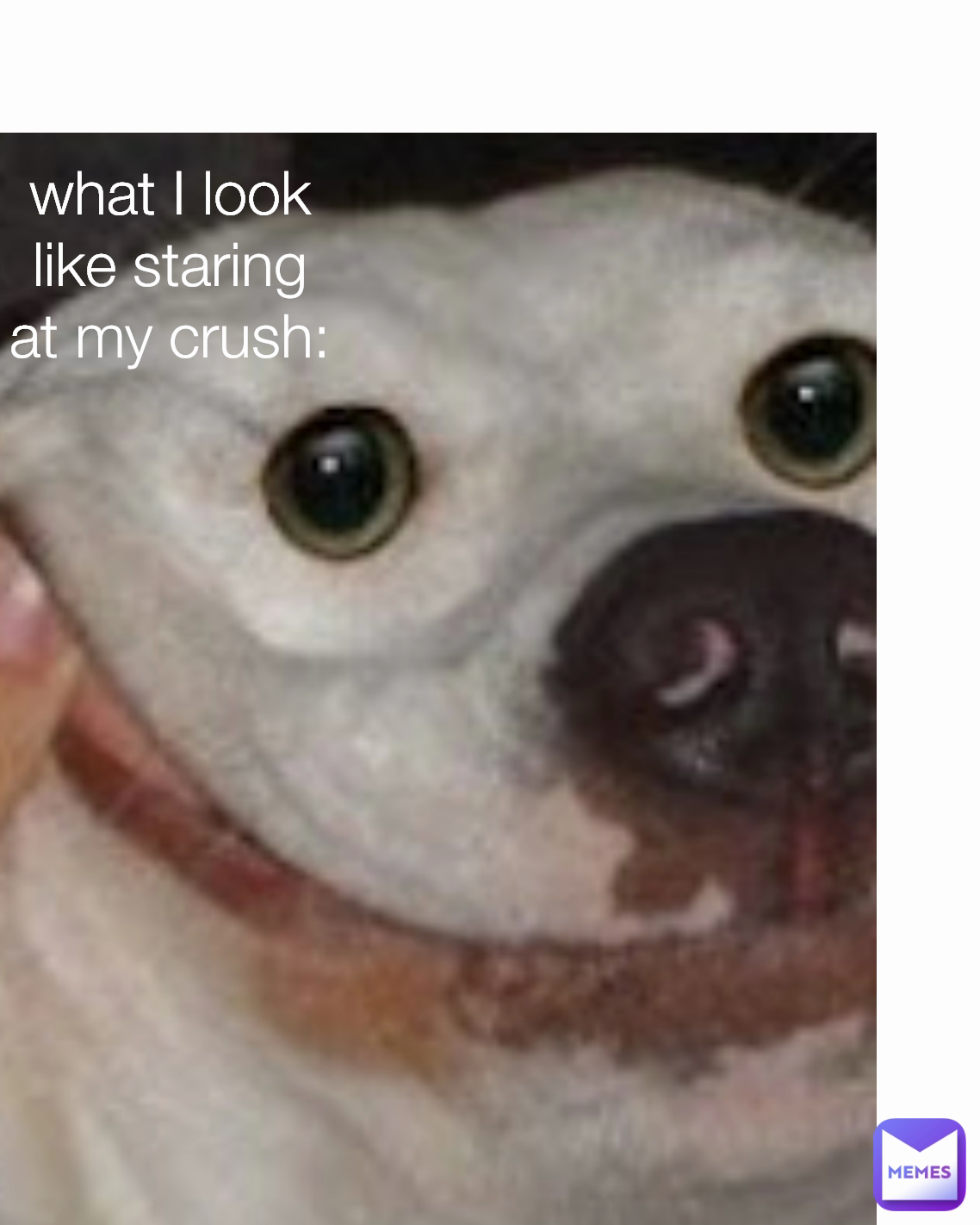 what I look like staring at my crush: