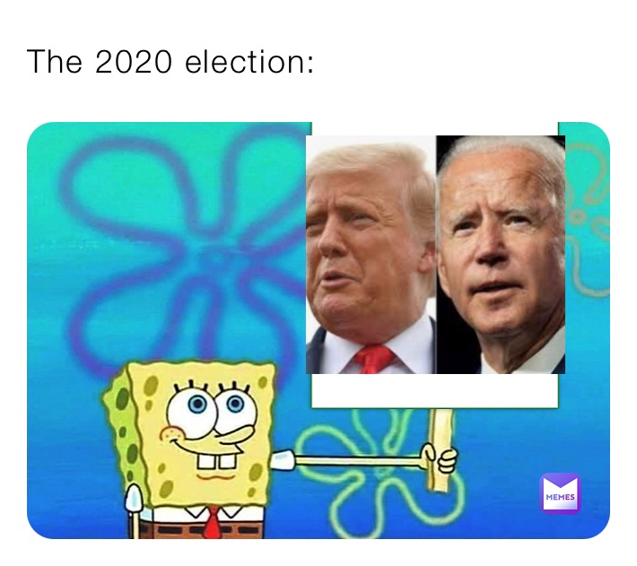 The 2020 election: