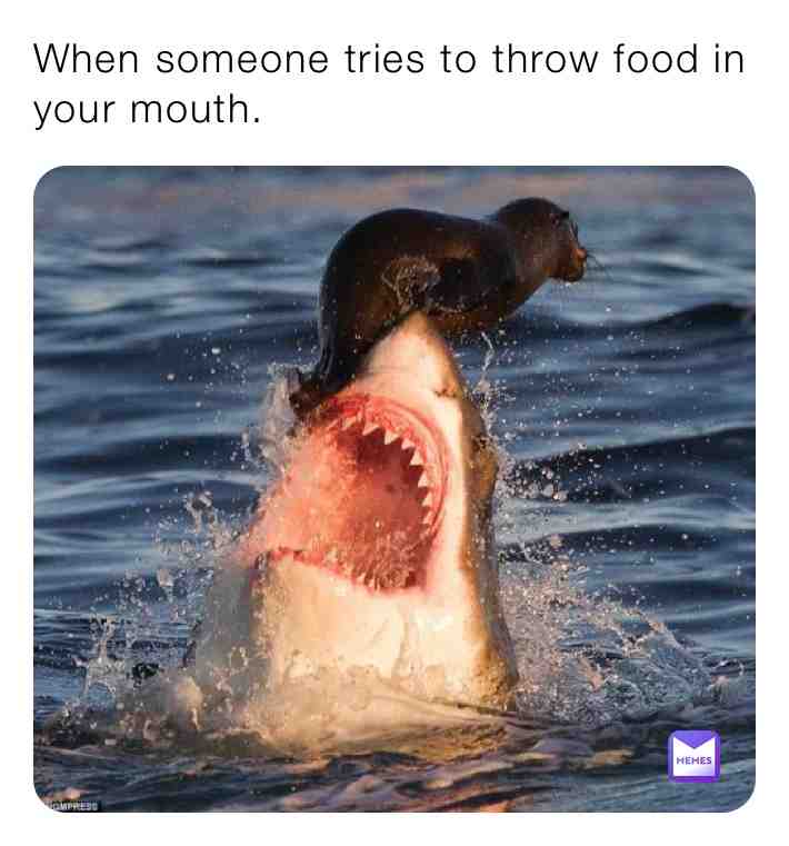 Read it. 🤣🤣🤣🤣🤣🤣 #memes #sharks #food #superfunny