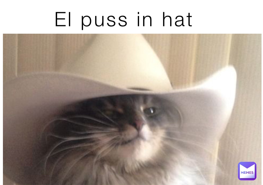 El puss in hat