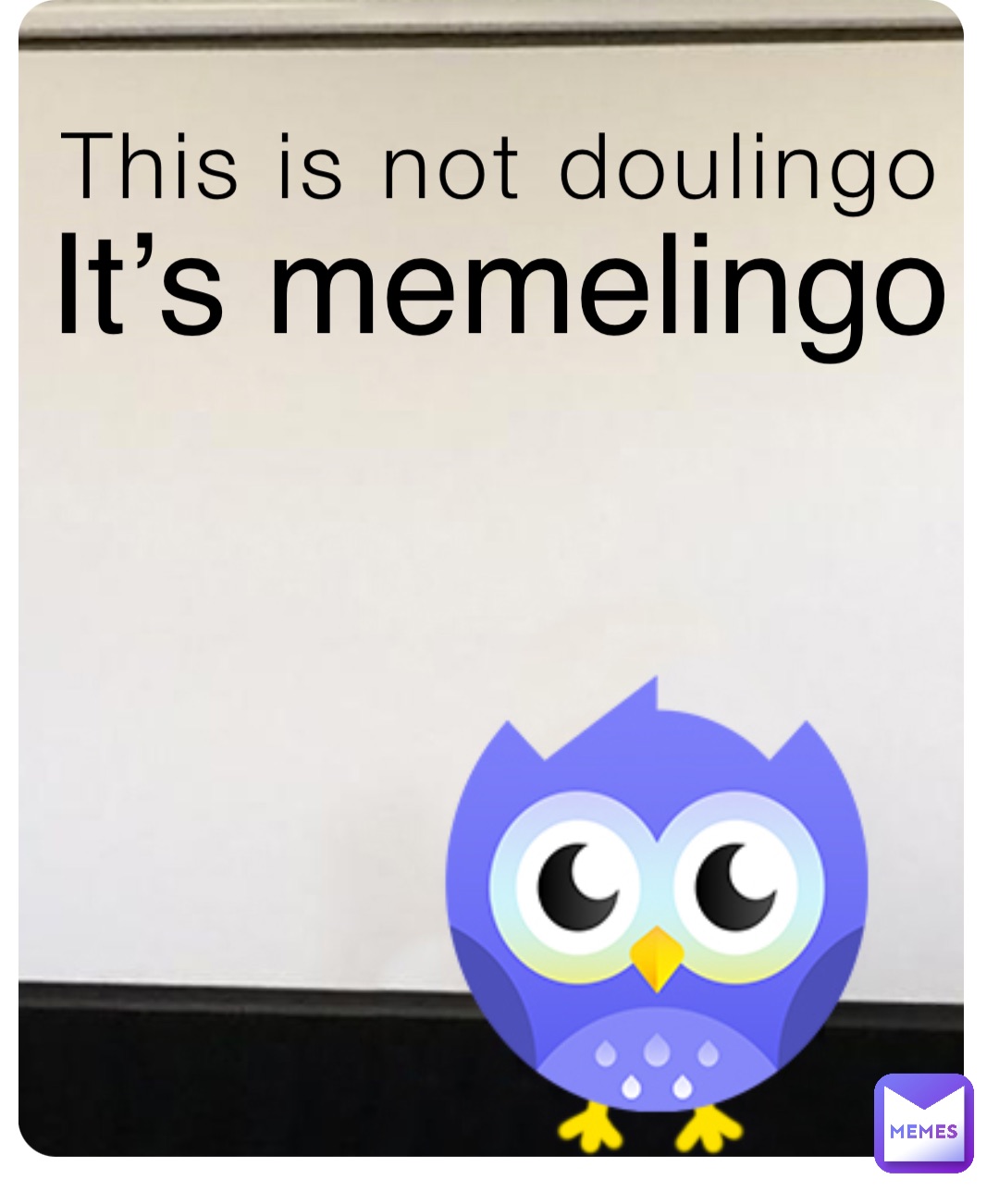 This is not doulingo It’s memelingo