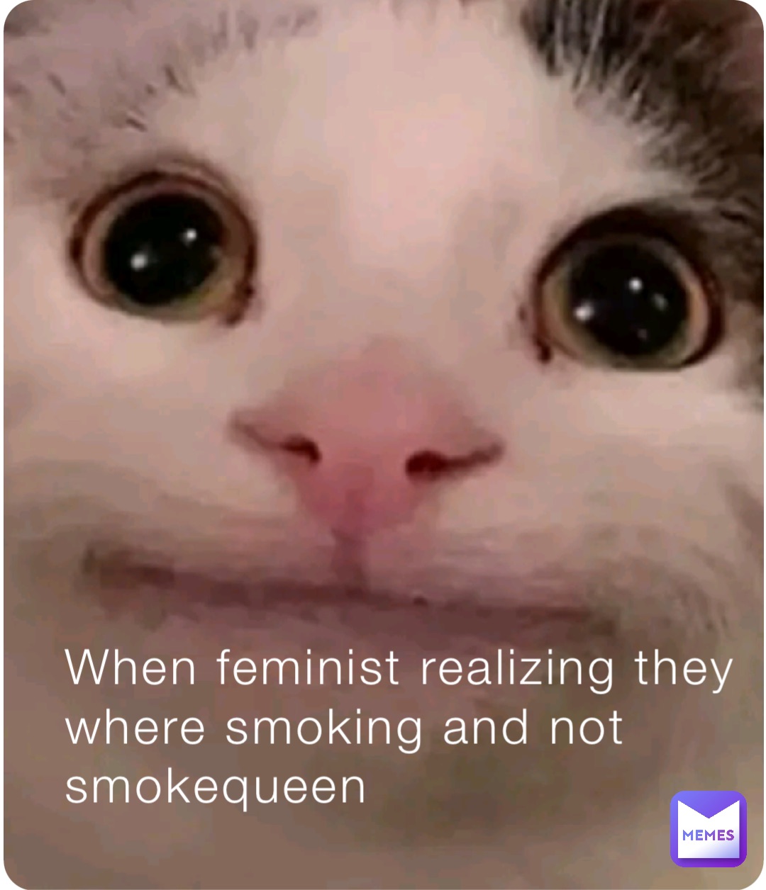When feminist realizing they where smoking and not smokequeen