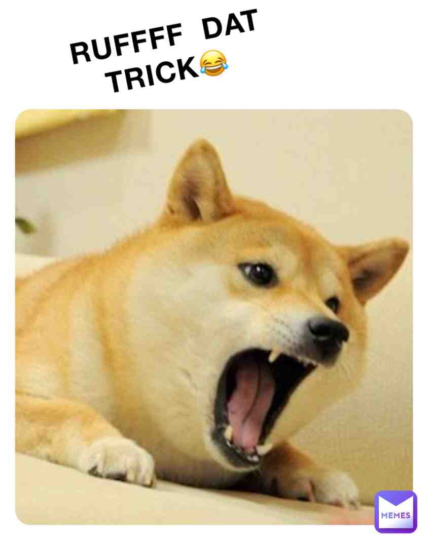 Meme shared by @big_gripp