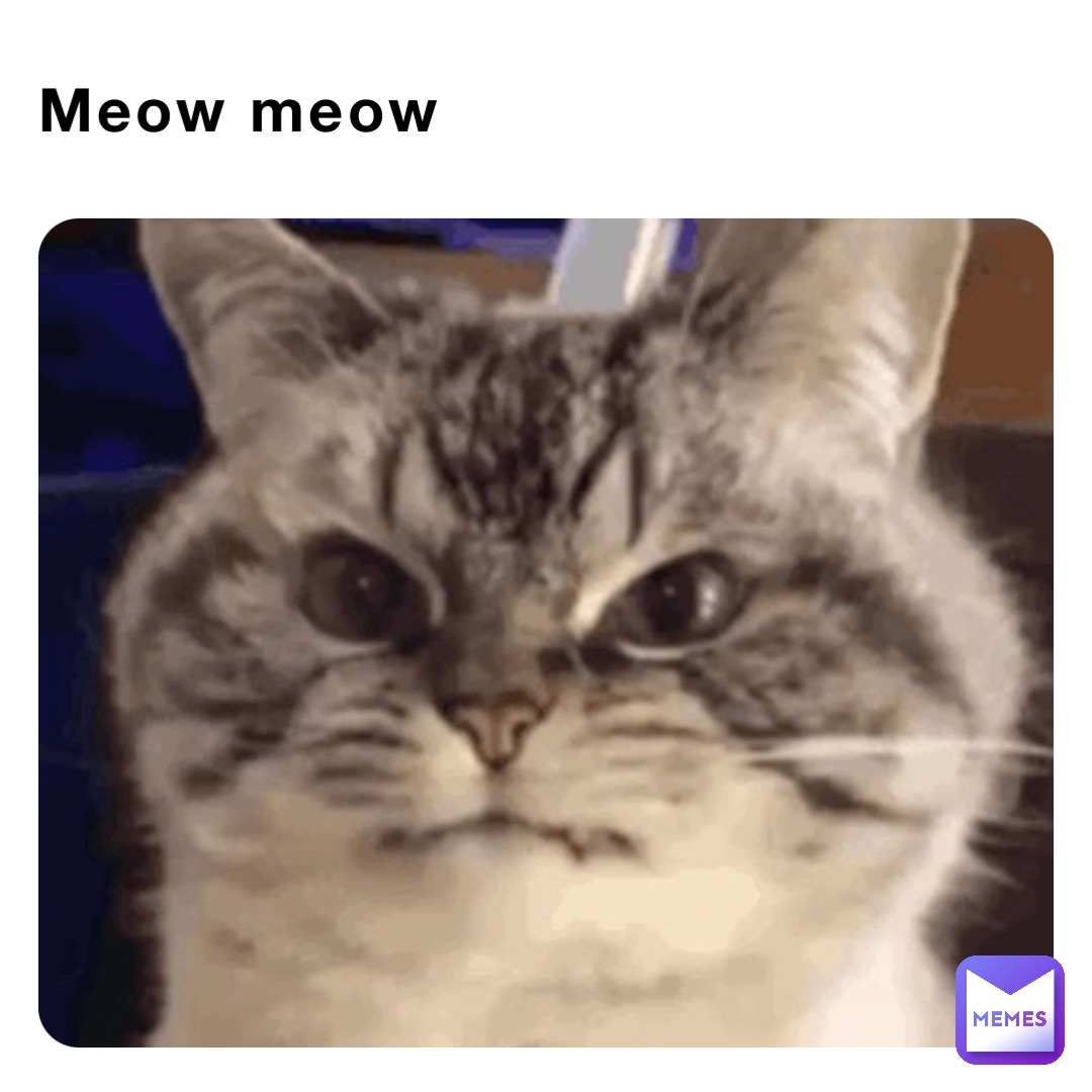 Meow meow