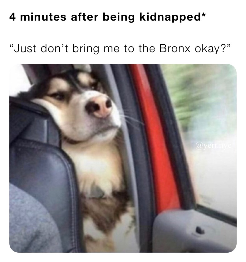 4 minutes after being kidnapped*

“Just don’t bring me to the Bronx okay?”