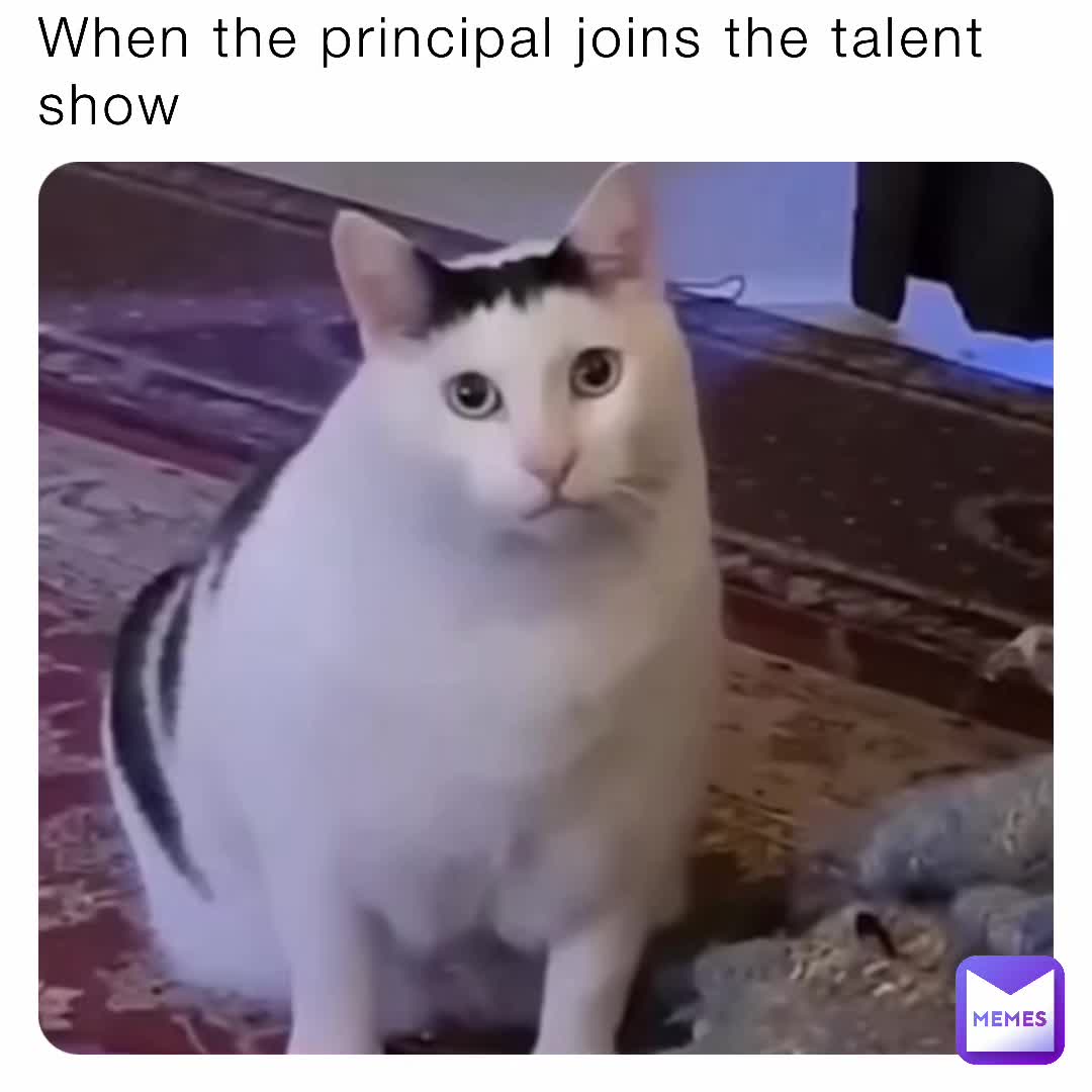 Meme shared by @yourpookie