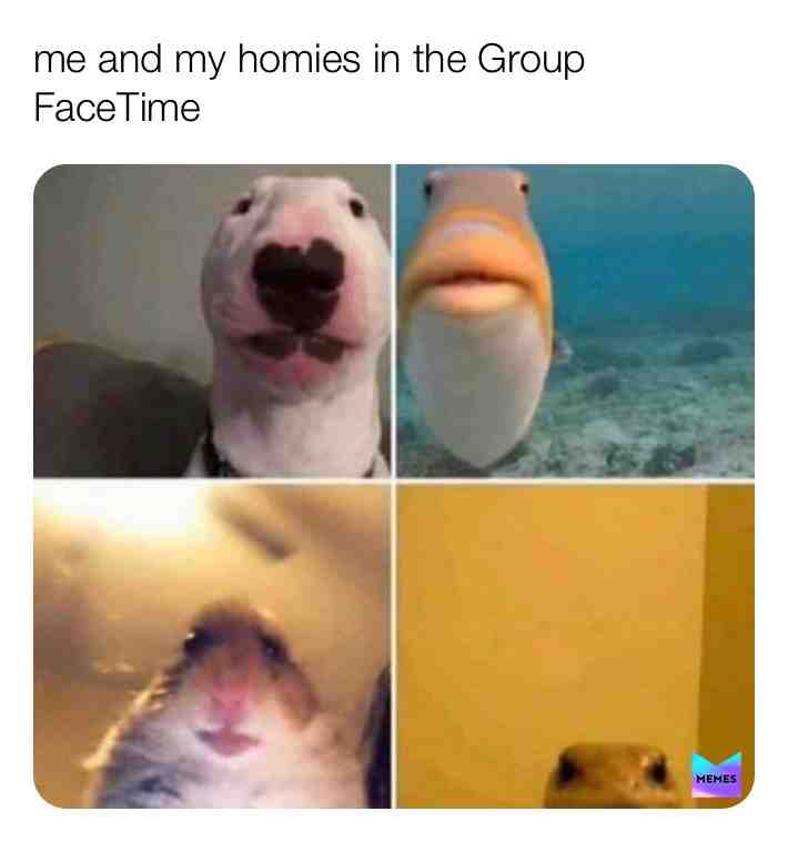 Meme shared by @da_hoomen