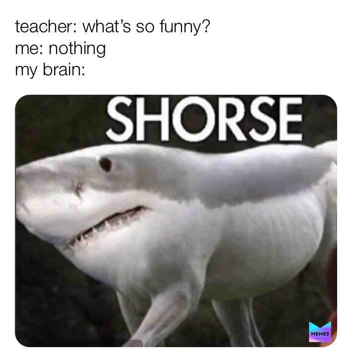 😂😂😂😂😂😂😂😂😂