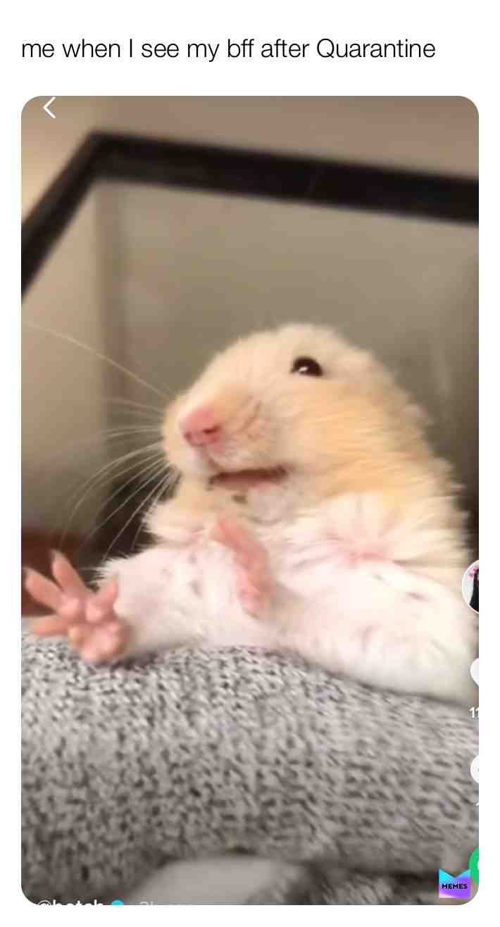 Heeey budddyy