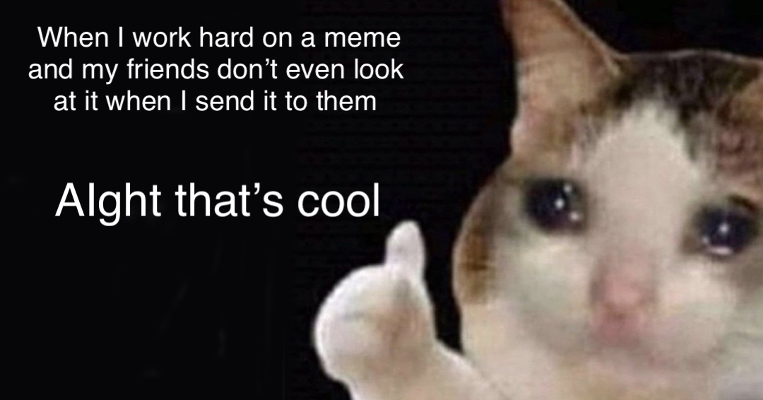 When I work hard on a meme and my friends don’t even look at it when I send it to them AIght that’s cool