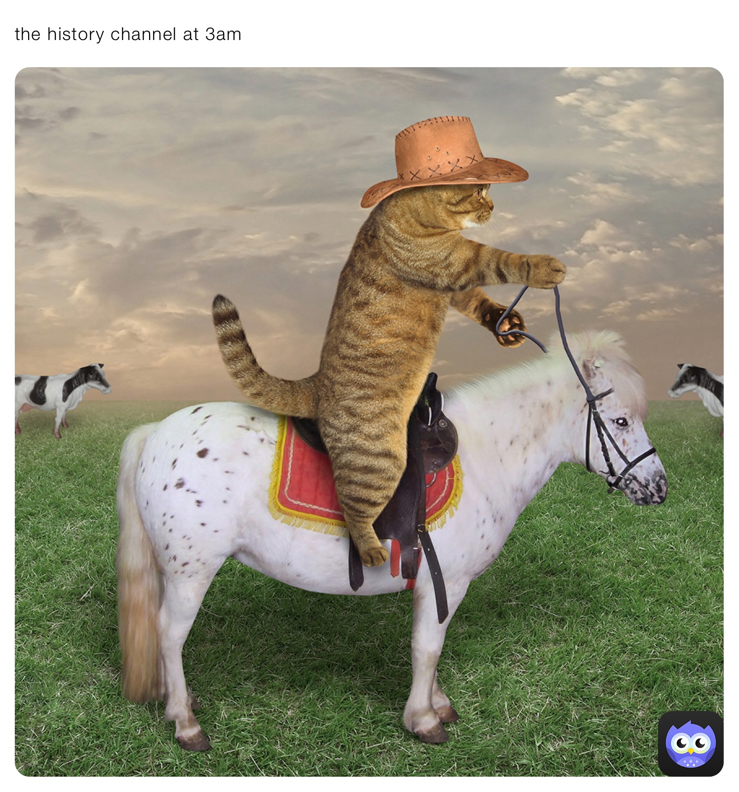 the history channel at 3am