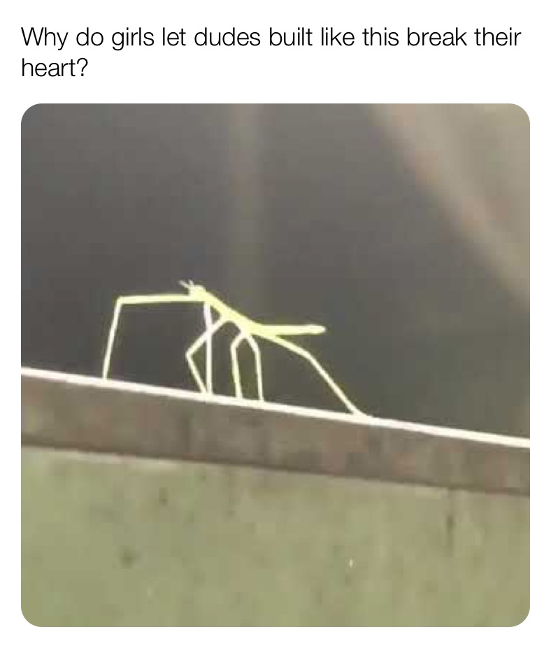 Meme by BOUGIESTMEMES