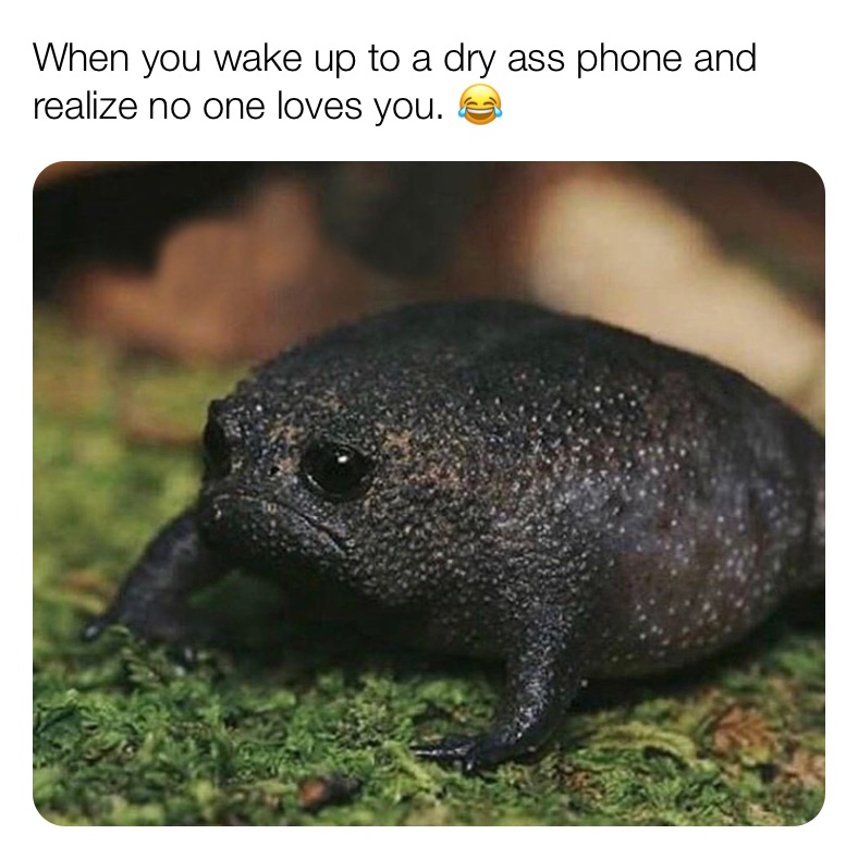 Meme by BOUGIESTMEMES