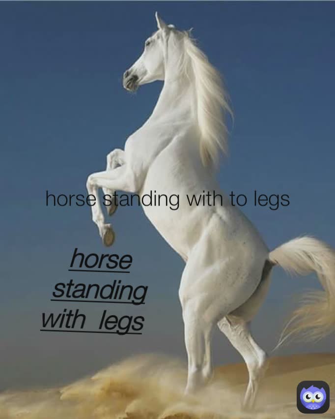 horse standing with to legs
 horse standing with  legs