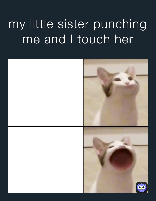 my little sister punching me and I touch her brie_memesgreat Memes