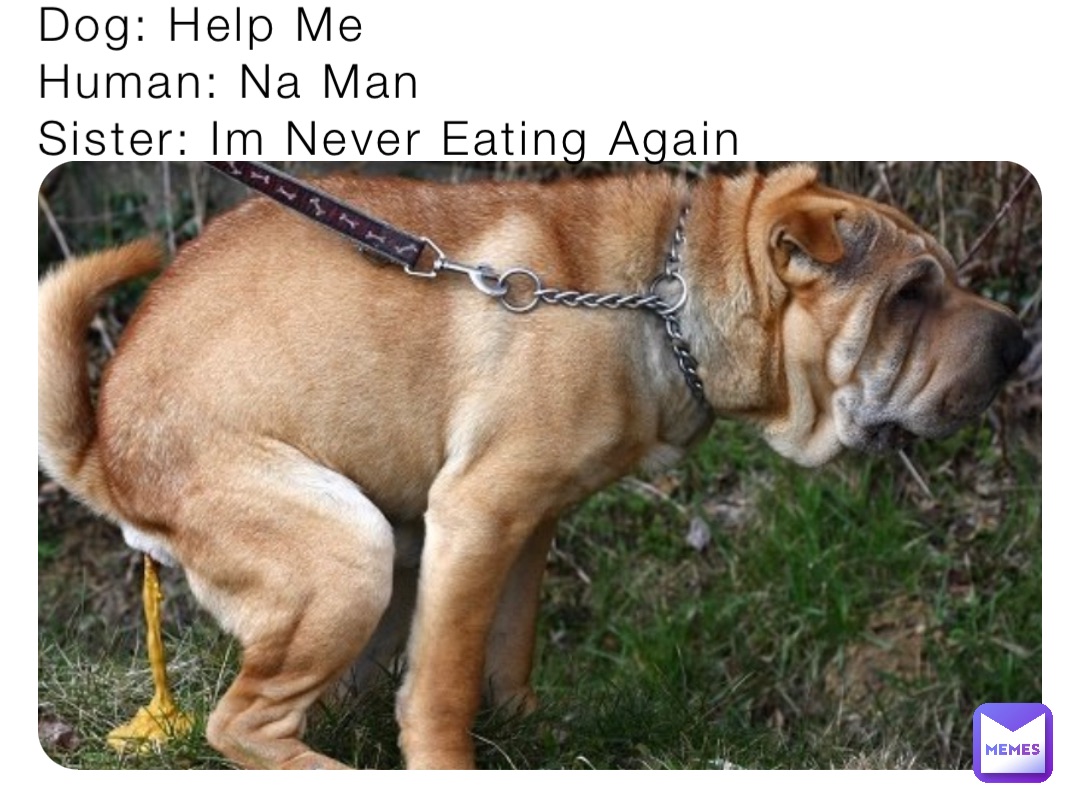 Dog: Help Me
Human: Na Man
Sister: Im Never Eating Again