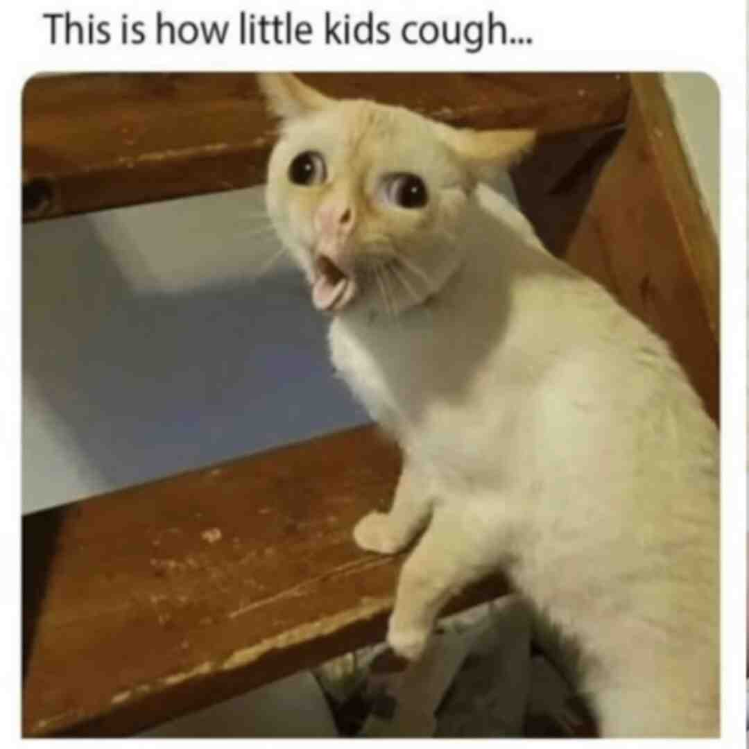 Meme shared by @yuuuh