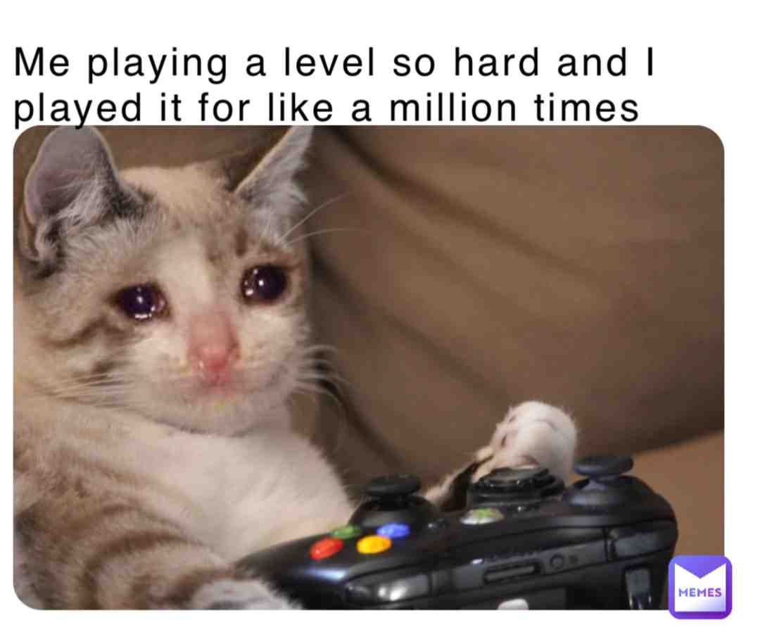 Meme shared by @yuuuh