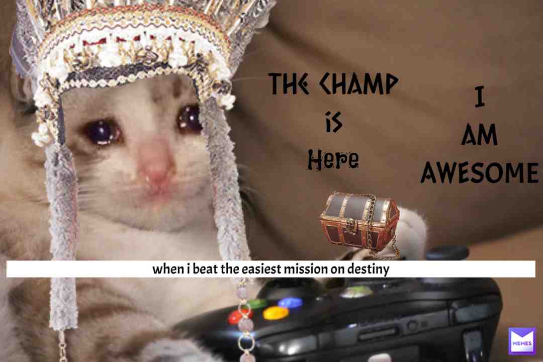 #destinymemes