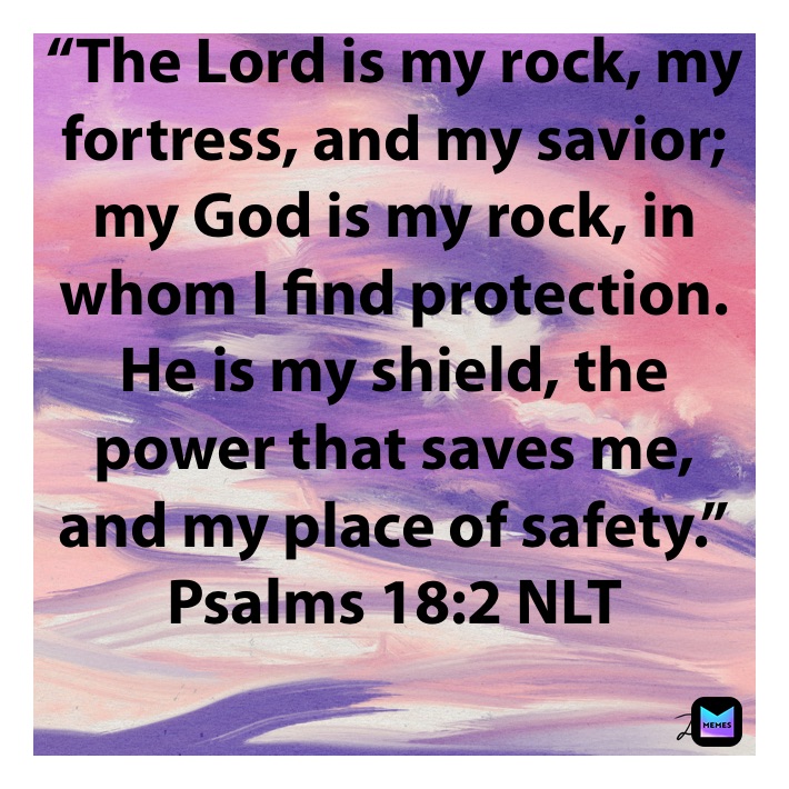 “The Lord is my rock, my fortress, and my savior; my God is my rock, in whom I find protection. He is my shield, the power that saves me, and my place of safety.”
‭‭Psalms‬ ‭18:2‬ ‭NLT‬‬