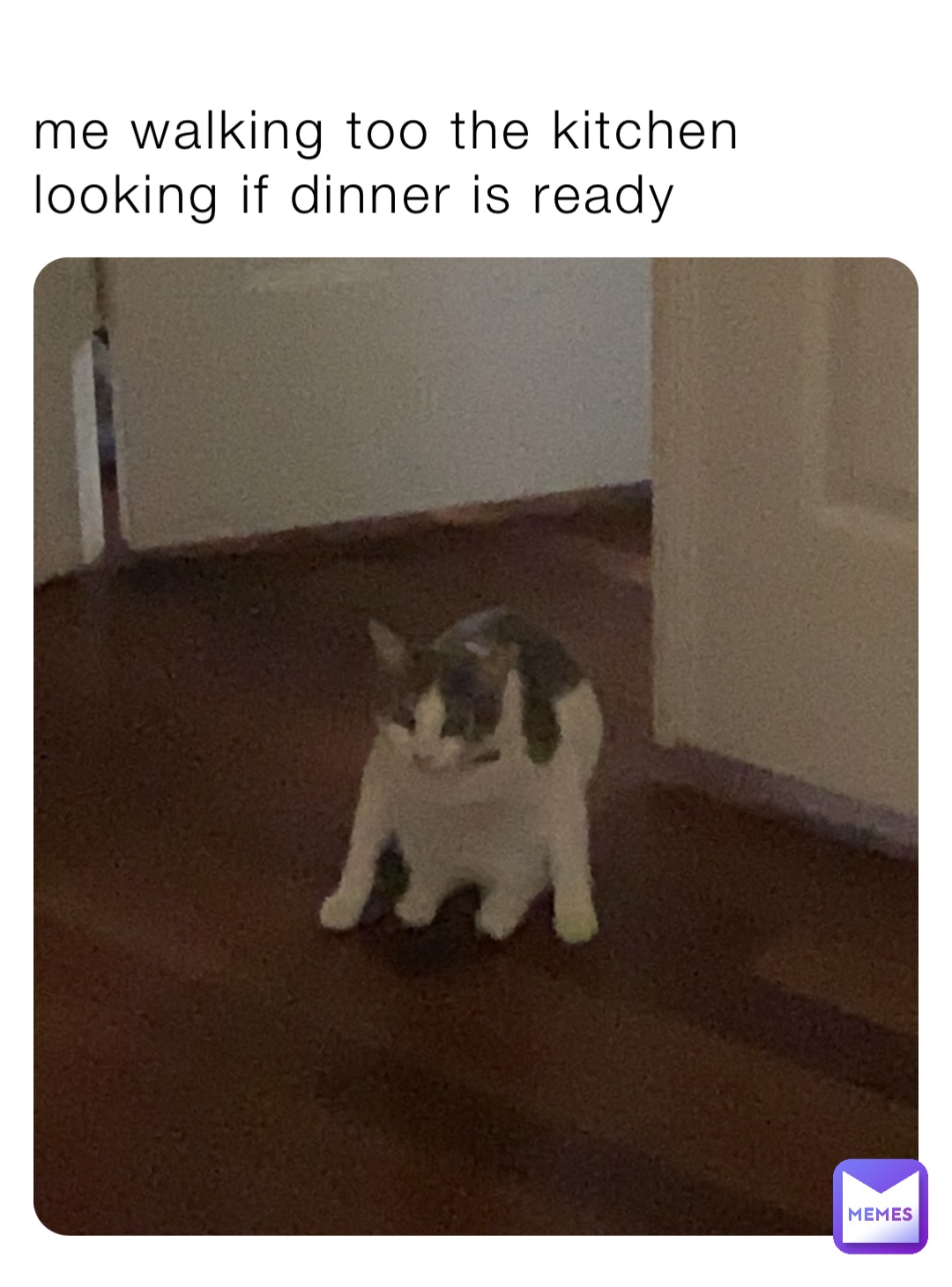 me walking too the kitchen looking if dinner is ready