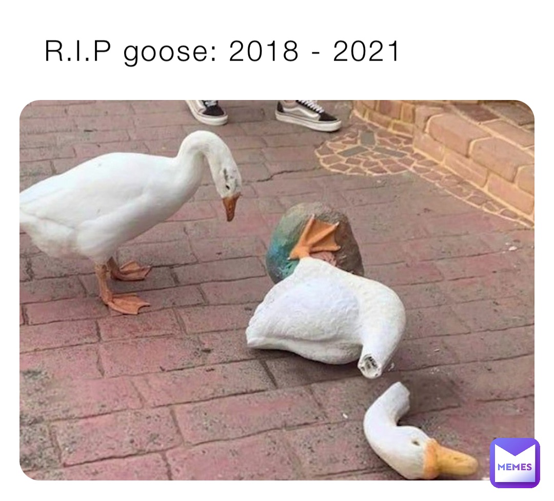 R.I.P goose: 2018 - 2021