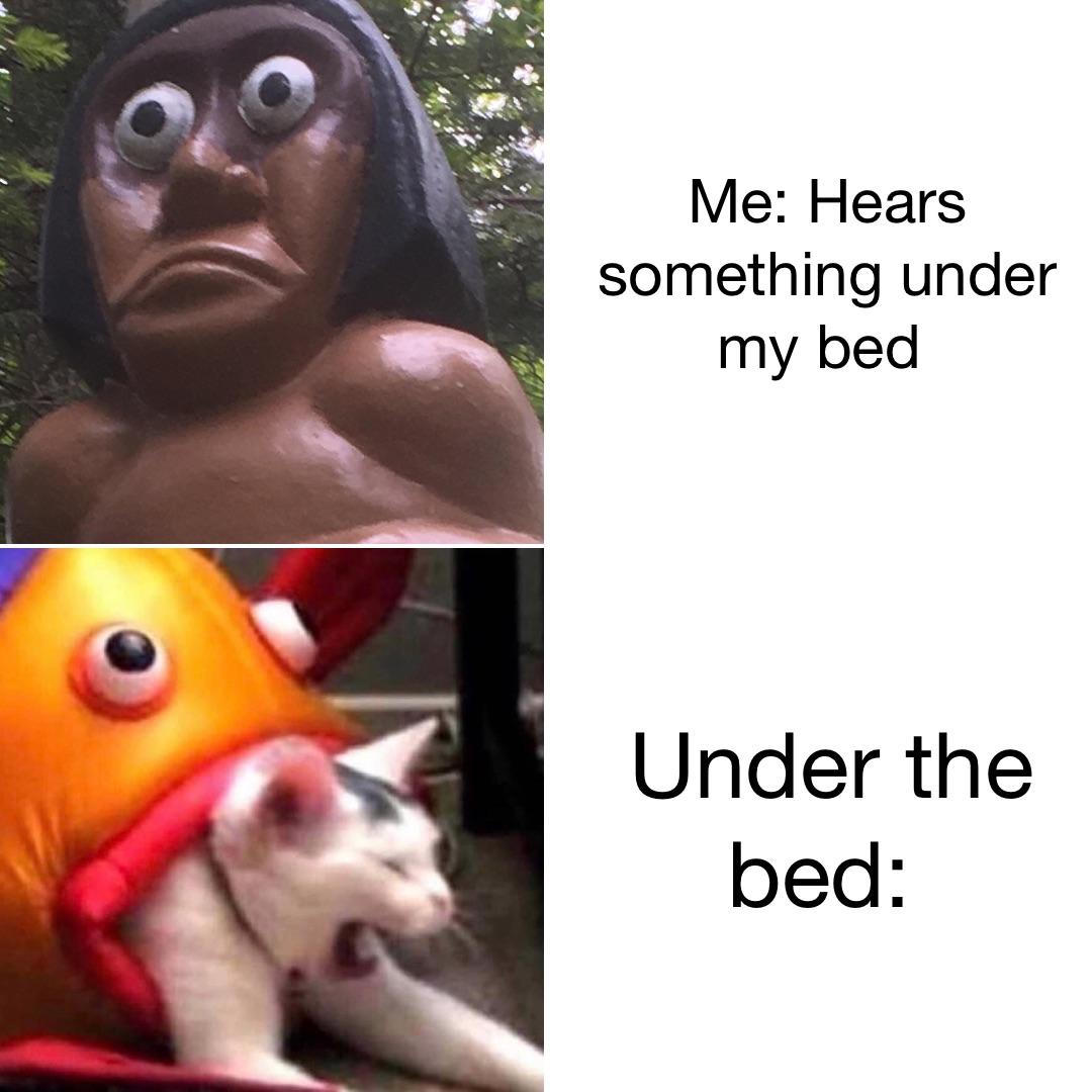 Me: Hears something under my bed Under the bed: