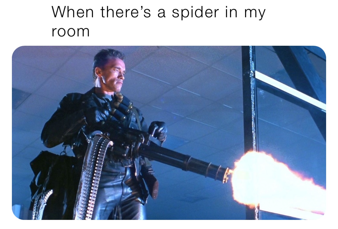 When there’s a spider in my room