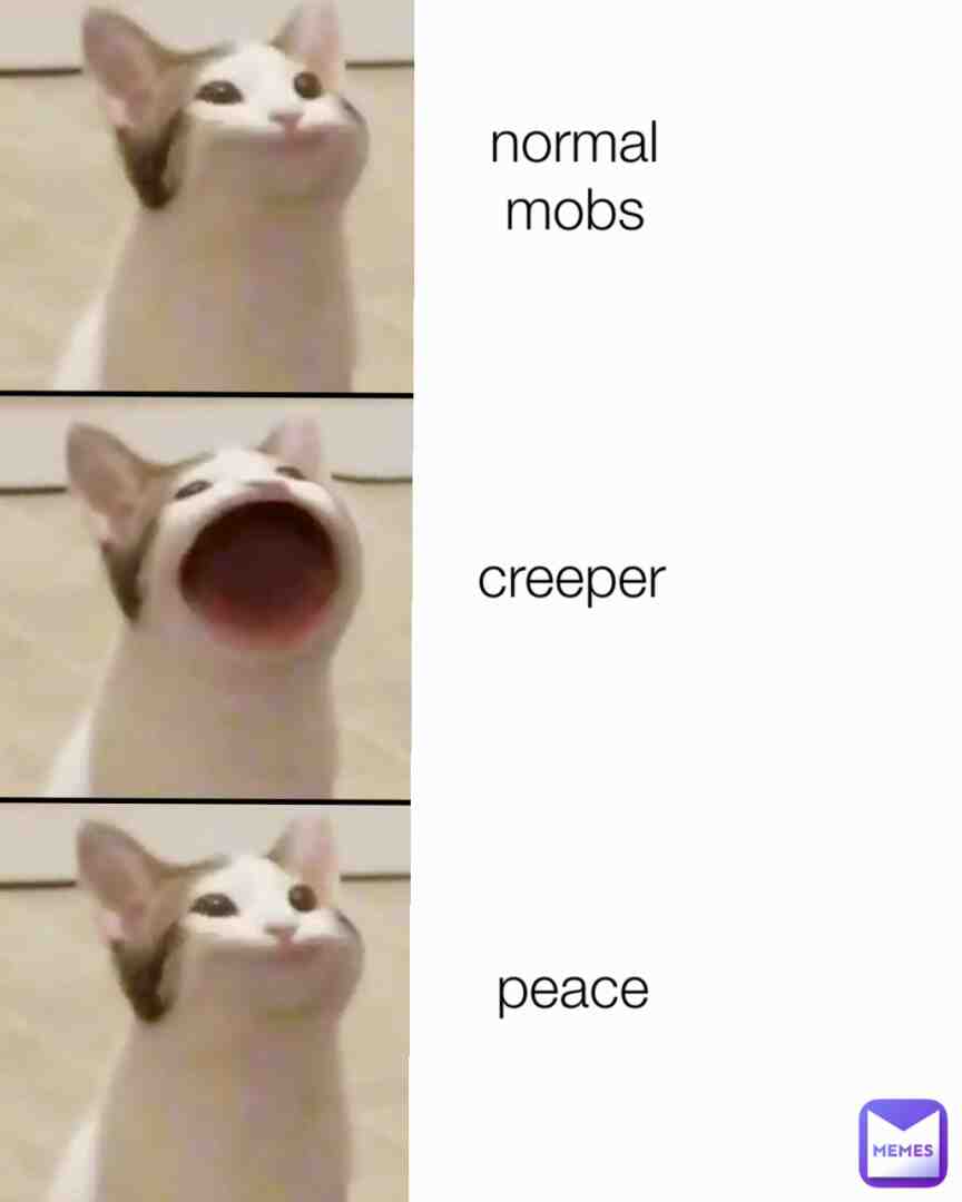 Minecraft fr