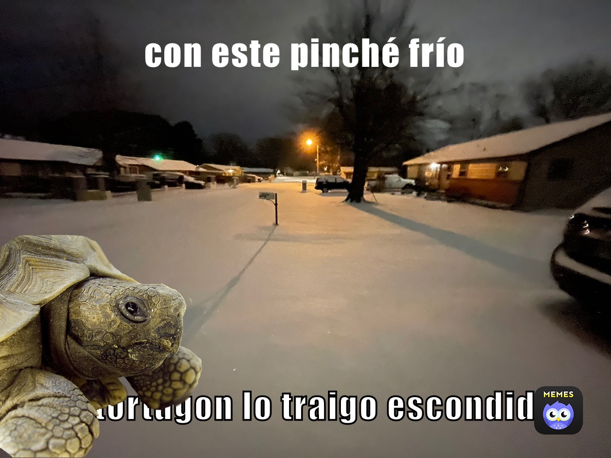 con este pinché frio el tortugon lo traigo escondido