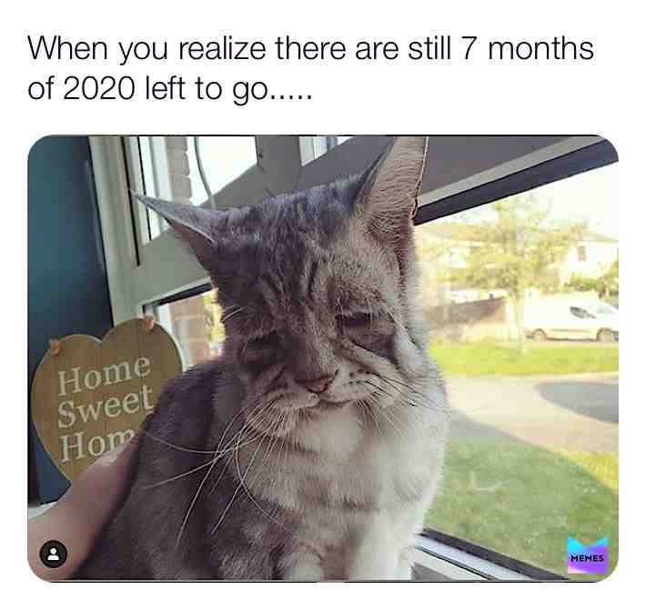  #2020 #whenisitover #sendhelp #igiveup #gohome