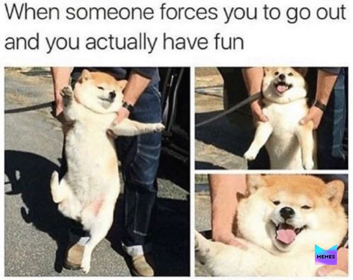 Meme by pewpewpugtato