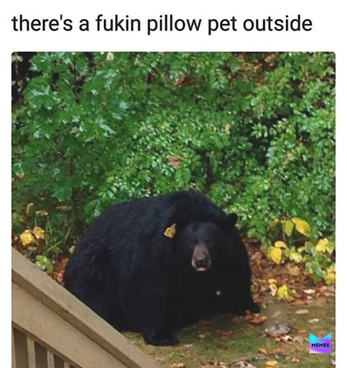 Meme by pewpewpugtato