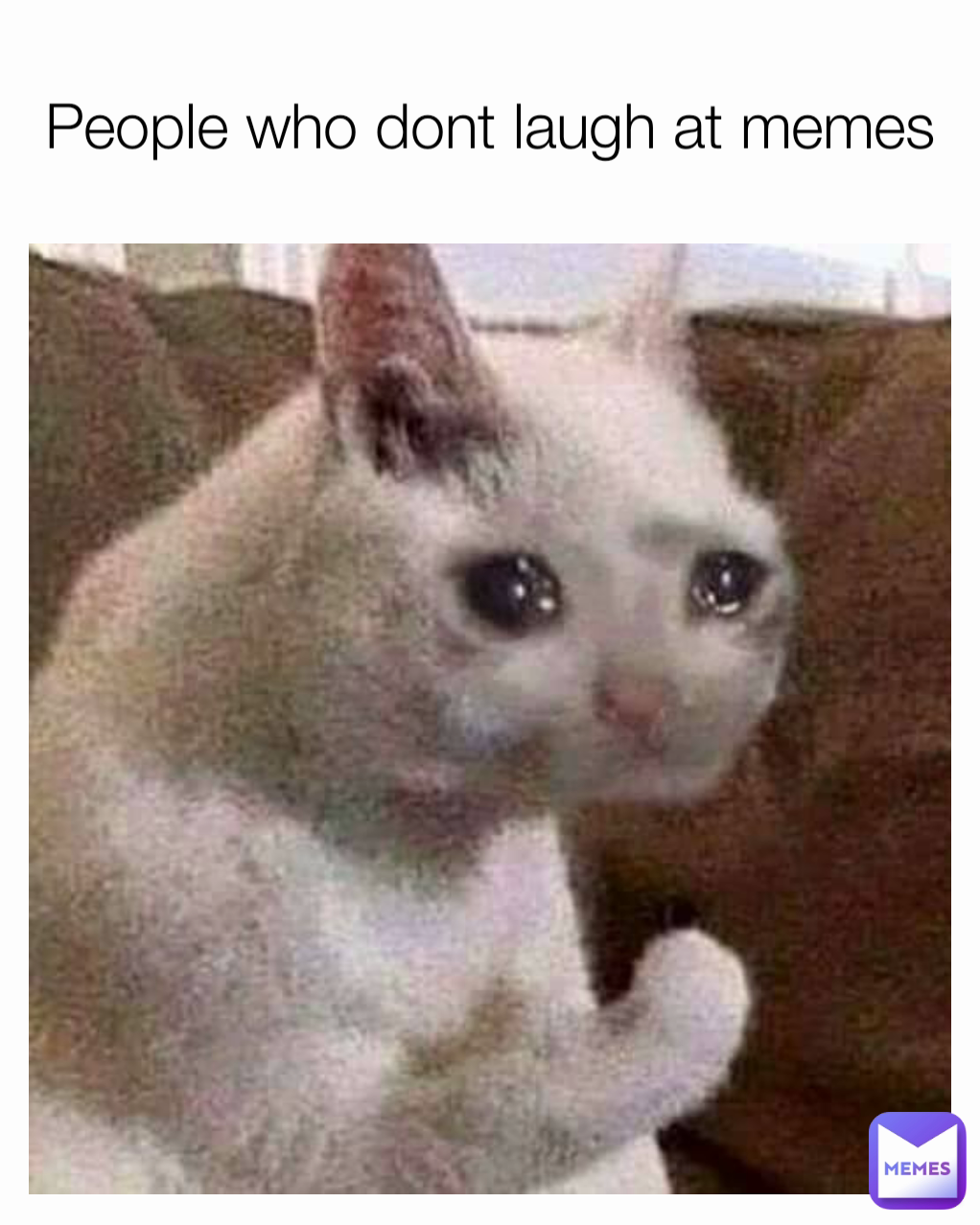 People who dont laugh at memes